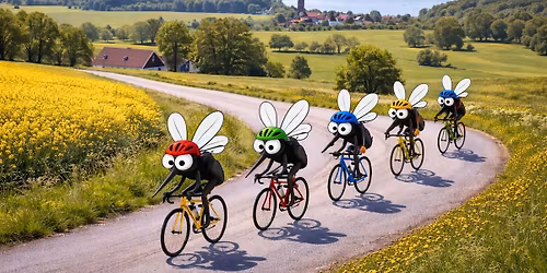 F\u00f8rste for\u00e5rstr\u00e6ning for TVM-Odense