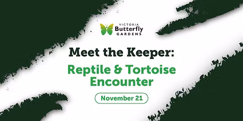 Meet the Keeper: Reptiles!