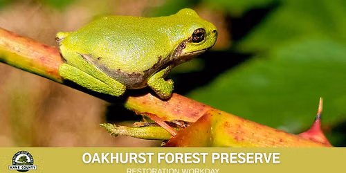 Volunteer Workday - Oakhurst Forest Preserve