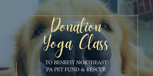 FREE Donation Yoga Class