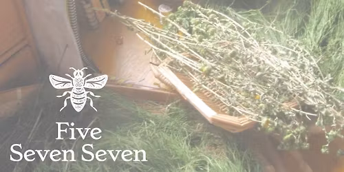 Planning a Medicinal Garden