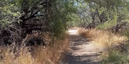 Isabella Lee Nature Preserve Walk
