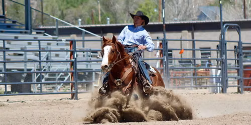 Versatility Ranch Horse Clinic & Show