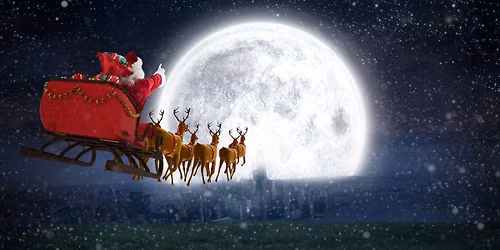 Les L\u00e9zards se pr\u00e9parent \u00e0 f\u00eater No\u00ebl