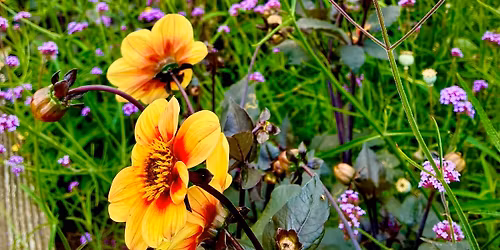 Gardens Course