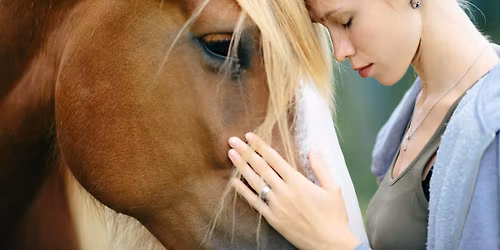 Horse Power Equine Therapy Experience: Regulate. Reflect. Reconnect.