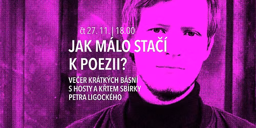 JAK M\u00c1LO STA\u010c\u00cd K POEZII?