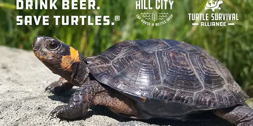 Drink Beer. Save Turtles.\u00ae with Puget Sound AAZK at Hill City Tap House & Bottle Shop in Seattle, WA