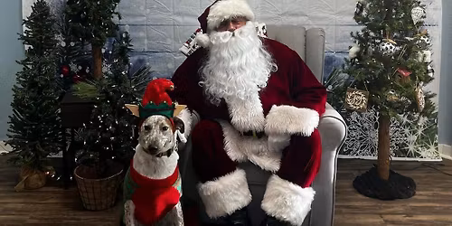 Doggie Santa Pictures 