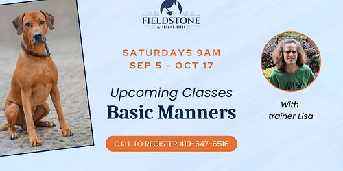 Dog Training Class: Basic Manners