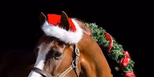 March\u00e9 de No\u00ebl