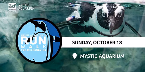 Mystic Aquarium's Run\/Walk For The Penguins