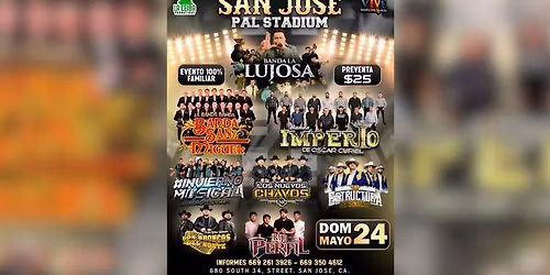 BANDA LA LUJOSA, BANDA SAN MIGUEL & MAS