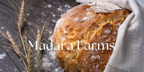 Sourdough Workshop for Beginners