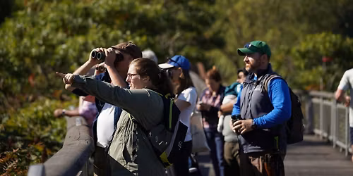 Spring Migration Bird Tour
