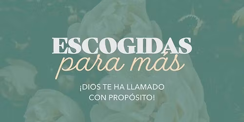 Taller De Mujeres: Escogidas para m\u00e1s