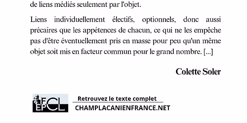 XIII Rendez-vous de l'IF-EPFCL