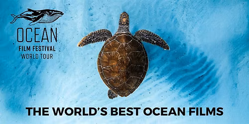 Ocean Film Festival - London - 21 October 2026