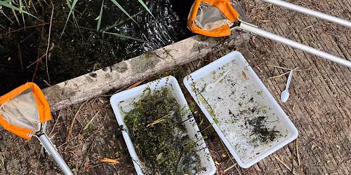 Nene Wetlands Pond Dipping and Mini Beasting - Summer Holiday Sessions