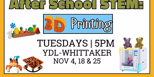 After School STEM: 3D Printing