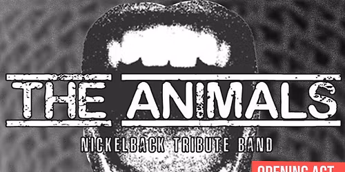 \ud83d\udd25 NICKELBACK ON FIRE \ud83d\udd25 + guest