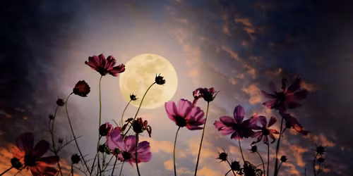 Full Flower Moon Guided Meditation & Release