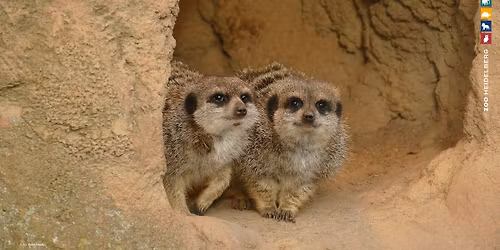 TIERFORSCHER (WORKSHOP - SCHULKINDER & JUGENDLICHE)