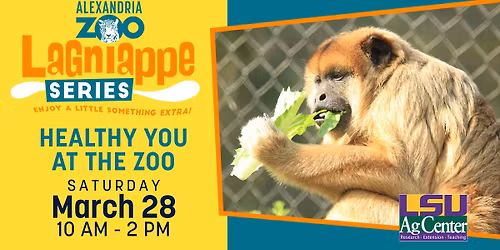Lagniappe Series: Healthy You at the Zoo