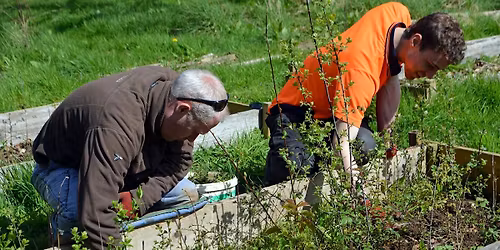 Nursery Maintenance at Dartington