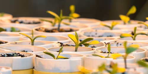 Plant Propagation: Section A