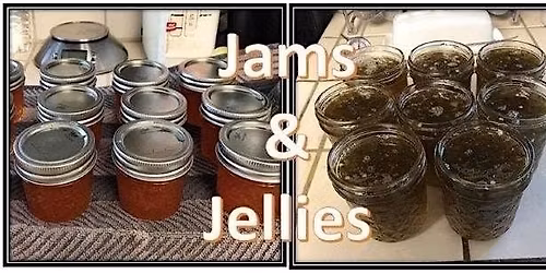 Jams & Jellies