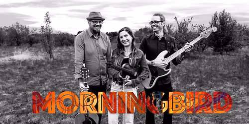 Morningbird Trio @ Sawmill Saloon, Virginia, MN