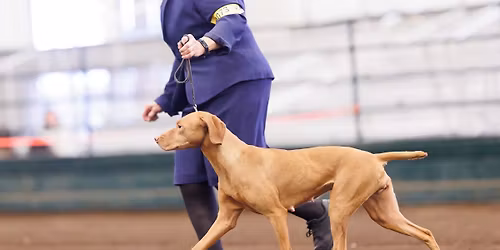 IABCA's 2026 Peace Arch Sieger International Dog Show