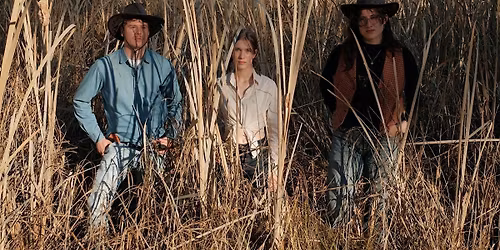 Gecko WANTED DEAD OR ALIVE