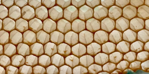 MBC's Monthly (every first Friday) Bee Happy Hour!