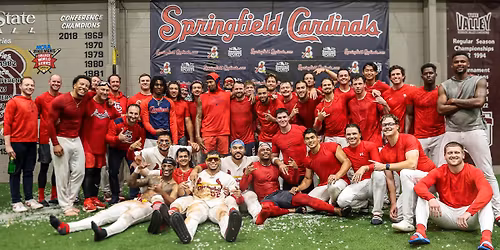 Springfield Cardinals vs. Midland RockHounds