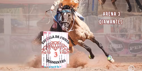 5to aniversario 3 diamantes 