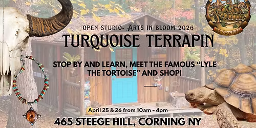 Turquoise Terrapin - Open Studio 2026 - Arts In Bloom