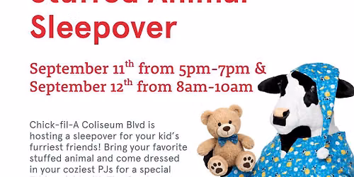 Stuffed Animal Sleepover 