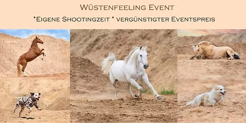 W\u00fcstenfeeling Shooting Event 2026
