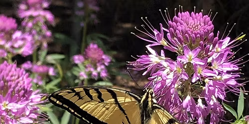 Spring Kick-Off 2026