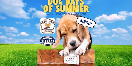 Dog Days of Summer - BINGO!