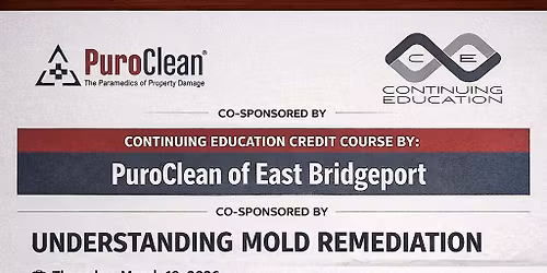 understanding Mold Remediation