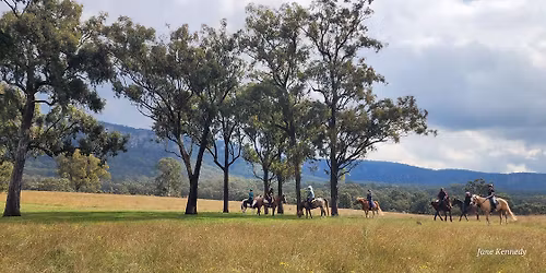 YellowScone Feb Chixx in the Stixx