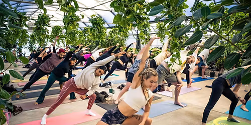 Yoga in the Greenhouse with Bentley