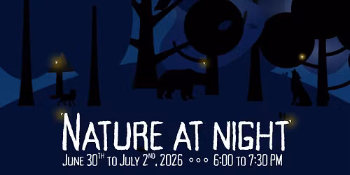 Nature at Night Summer Camp at LCM!