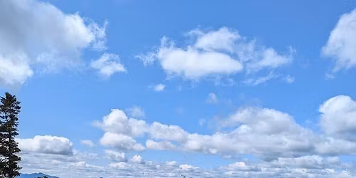 Wellness Reset: A Day for Women