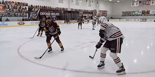 Rockford Icehogs vs. Chicago Wolves