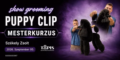 Show grooming - Puppy clip mesterkurzus