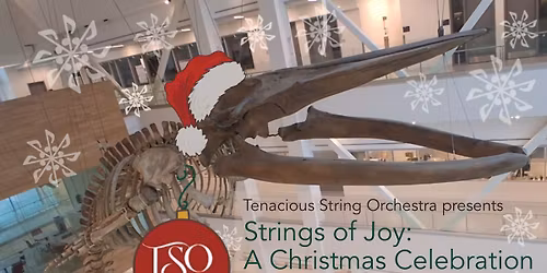 Strings of Joy: A Christmas Celebration featuring Ana Lu\u00edsa Ramos